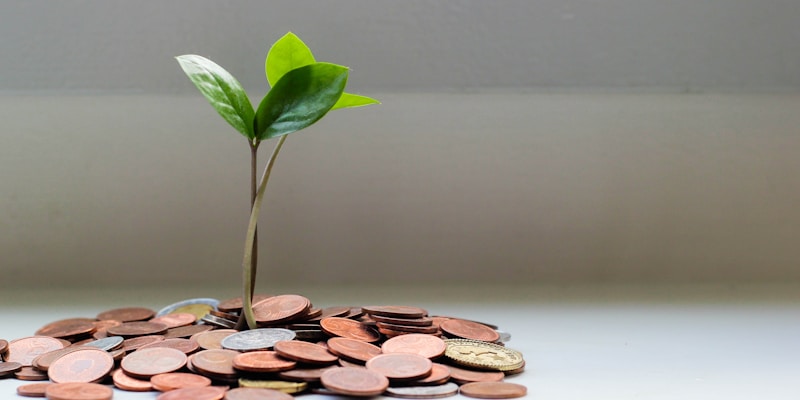 How to Calculate WhatsApp Marketing ROI: A Framework